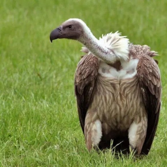 OOAK Scarf 105x5 Extra Long Unique Handmade Crochet Knit Men Women Winter NWT - Picture 10 of 10